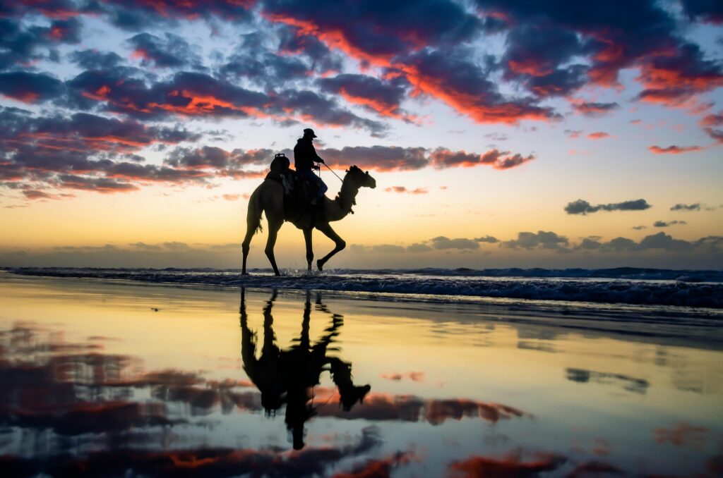 A man riding a camel on the beach at night in Palestine